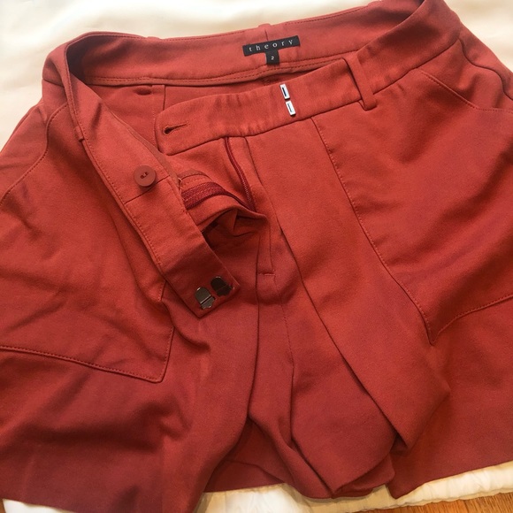 Theory Shorts - Fashionable!! - Picture 4 of 5